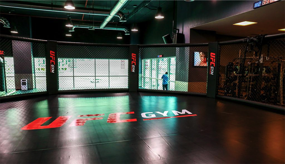 Estratégia Ufc Gym Dubai Coluna